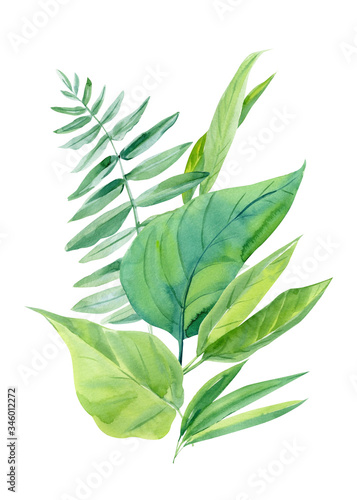 Jungle botanical composition  watercolor illustrations  floral elements. Palm leaves and other. Tropical leaves set