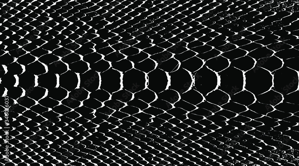 Snakeskin pattern imitation. Lines and spots structural texture. Cool