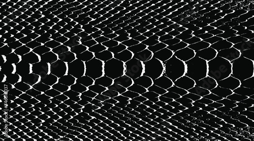 Snakeskin pattern imitation. Lines and spots structural texture. Cool and artsy faux leather background. Abstract vector illustration. Black isolated on white. EPS10 