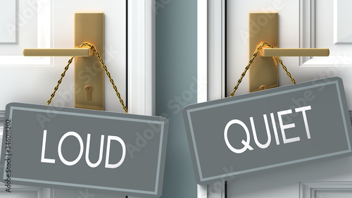 Photography quiet or loud as a choice in life - pictured as words loud, quiet on doors to sh