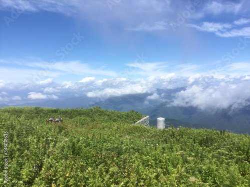 Платно Lush landscape of Mount Ibuki