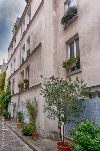 Fototapeta Naklejka Na Ścianę i Meble -  Charming flower quarter with apartment building in Paris, Rue des Thermopyles, 14 arrondisement. France.