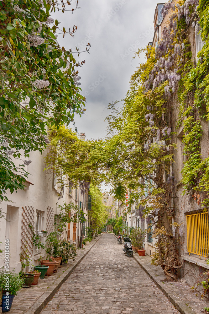 charming-flower-quarter-with-apartment-building-in-paris-rue-des