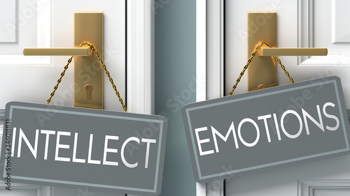 emotions or intellect as a choice in life - pictured as words intellect, emotions on doors to show that intellect and emotions are different options to choose from, 3d illustration