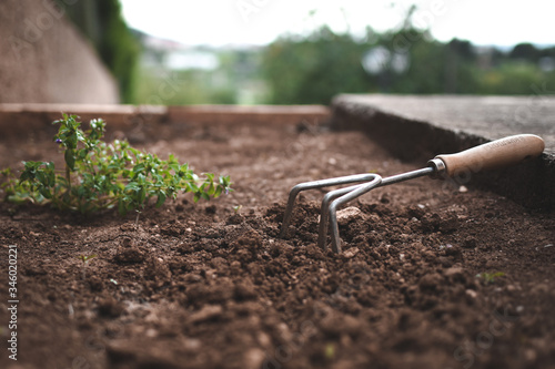 trabajo work herramientas jardín tierra tool plantas verde marrón agricultura huerta 