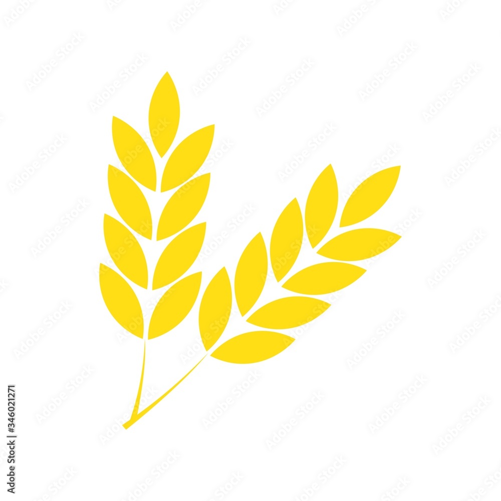 wheat icon logo vector wheat icon logo vector