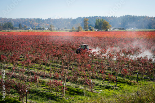 Tractor spraying blueberry field in British Columbia