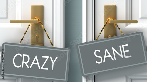 sane or crazy as a choice in life - pictured as words crazy, sane on doors to show that crazy and sane are different options to choose from, 3d illustration