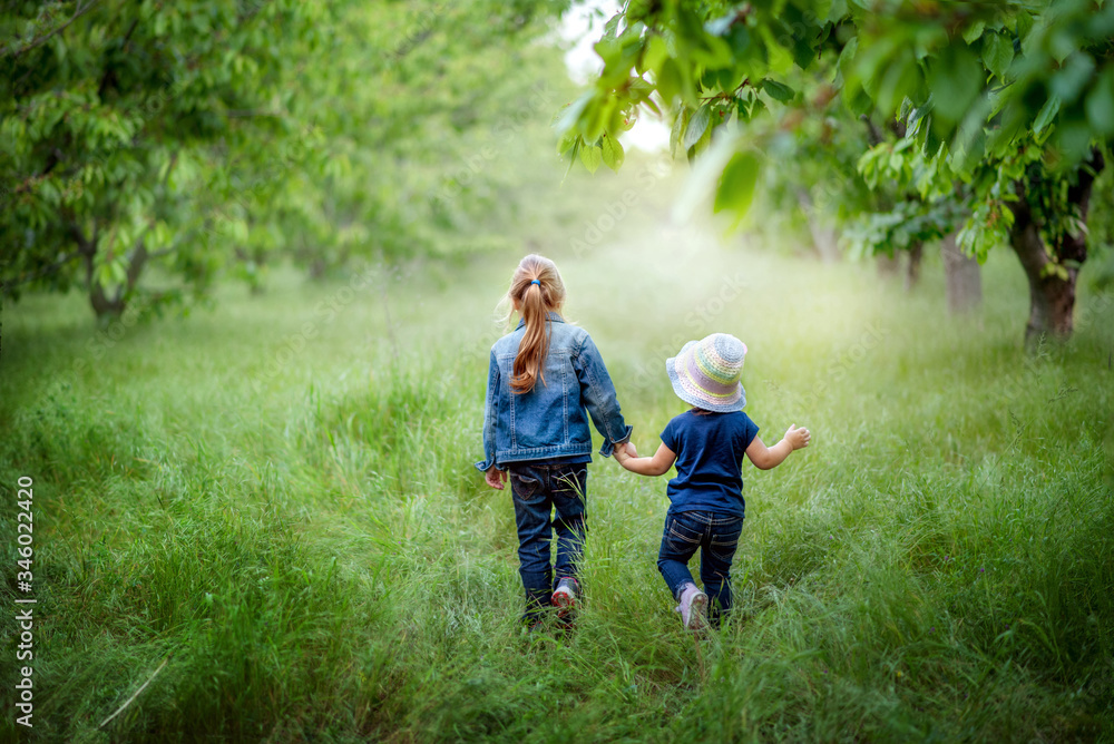Fototapeta premium Two little girls in jeans clothes holding hands are going through green summer/spring garden. Family time, summer mood. Green grass and leaves, fresh air walking. Soft light bokeh. Lonely children.