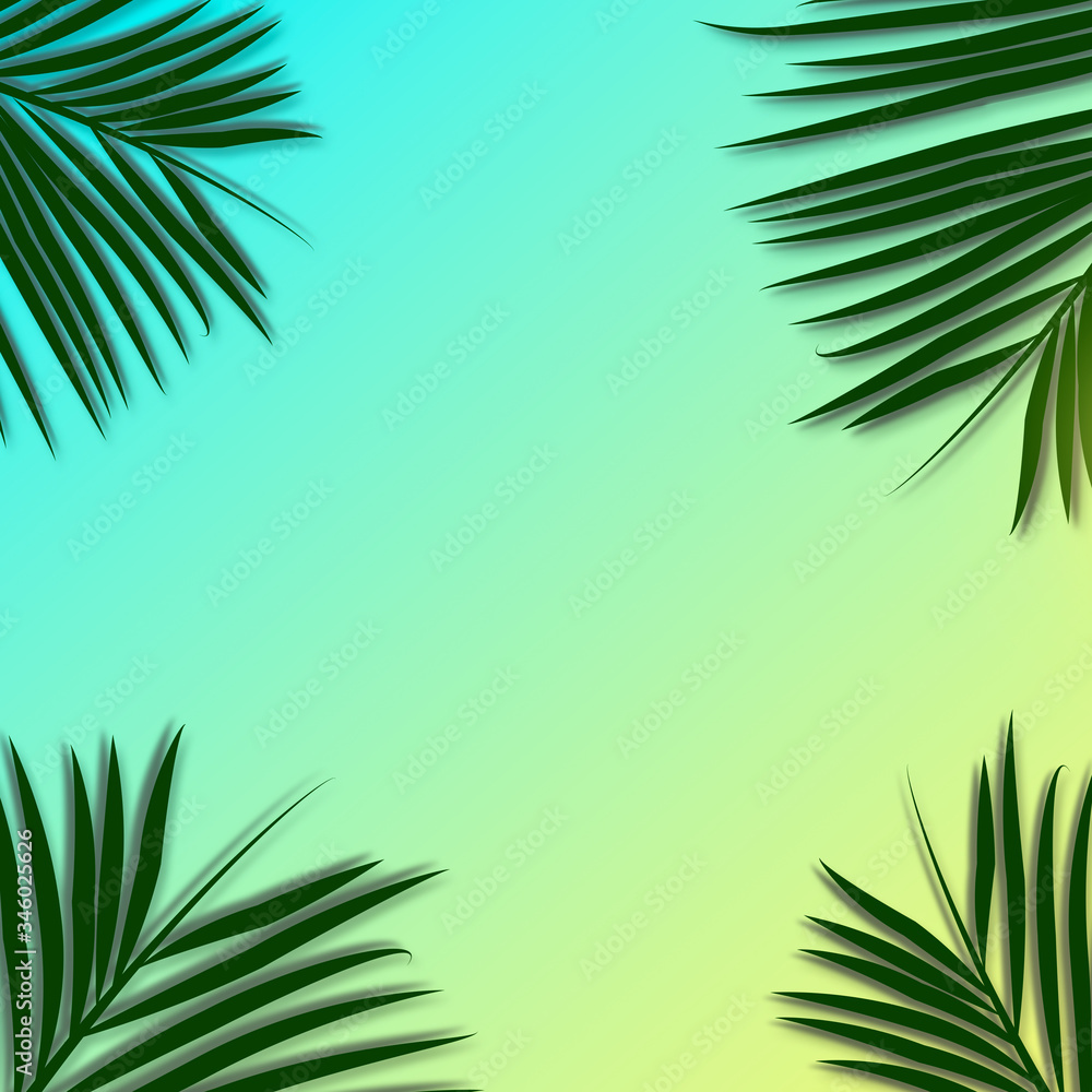 Palm leaves decorated with blank copy space on the soft pastel background