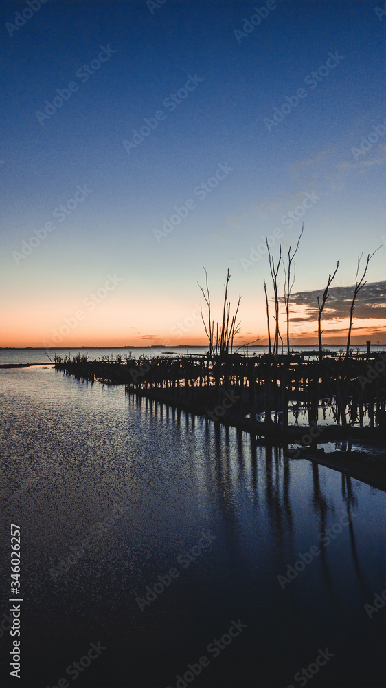 Sunrise on the horizon with the glow reflected in the creek, flooded trees in Epecuen, near Carhue, Buenos Aires Province, Ar gentina.