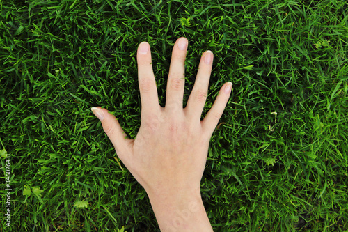 hand fingers on spring green grass background