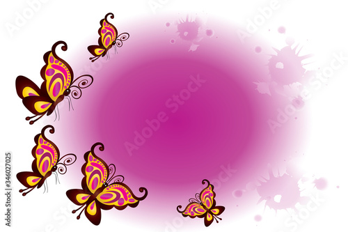 Butterflies greeting card logo vector image