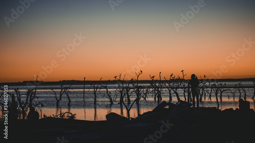 birds flying at dawn over the epecuen lake