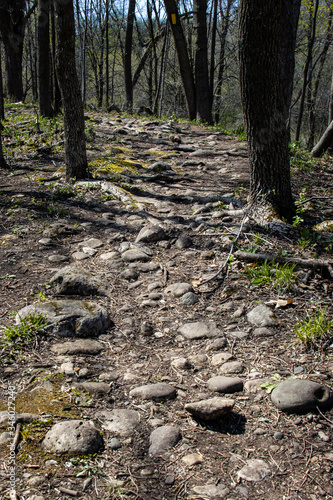 The spring sun highlights the stony ice age trail through southern Wisconsin.