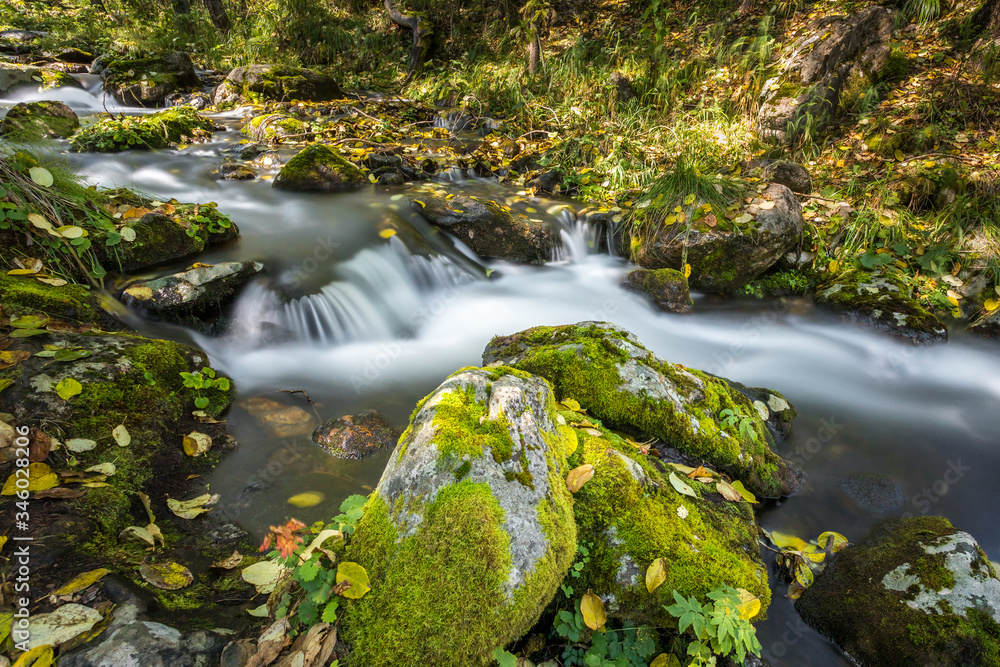 stream, waterfall from the forest stream, waterfall from the forest