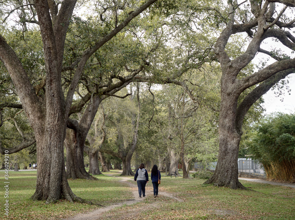 View of two women walking surrounded by oak trees at Audubon Park, New Orleans, Louisiana, USA. View of two women walking surrounded by oak trees at Audubon Park, New Orleans, Louisiana, USA.