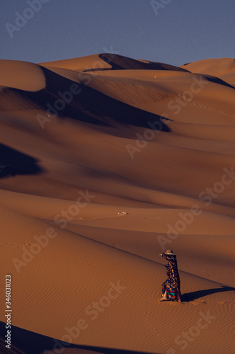 sand dunes in the Liwa desert  abu dhabi   united arab emirates