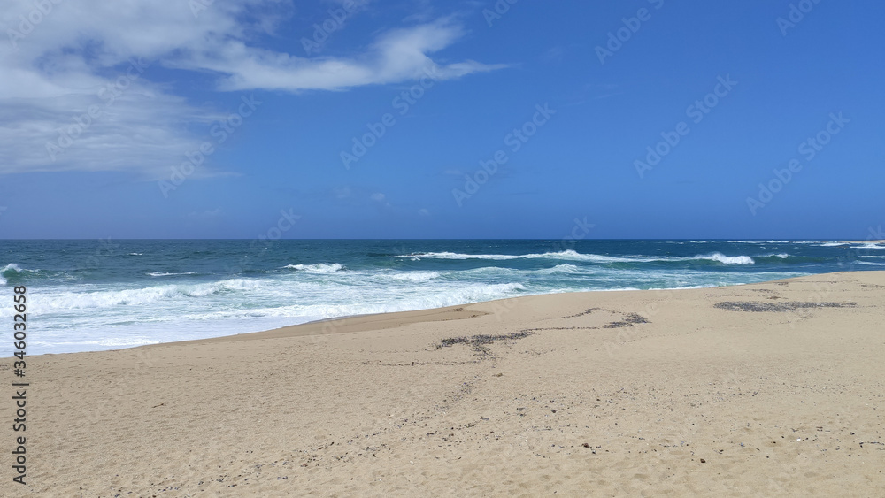 Empty sandy beach littered with seashells in Povoa de Varzim, Portugal. Beautiful blue sky and turquoise ocean.