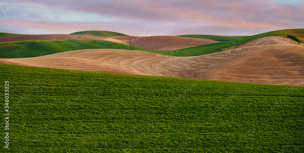 fields at sunset