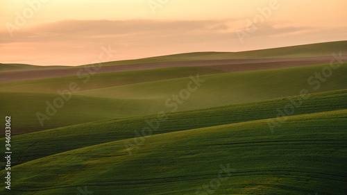field landscape at sunset