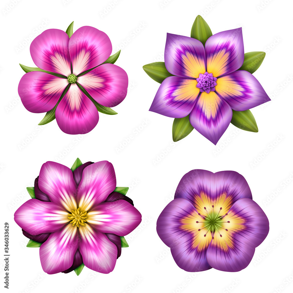 digital botanical illustration, assorted purple pink flowers set, collection of floral clip art isolated on white background. Colorful summer nature design elements