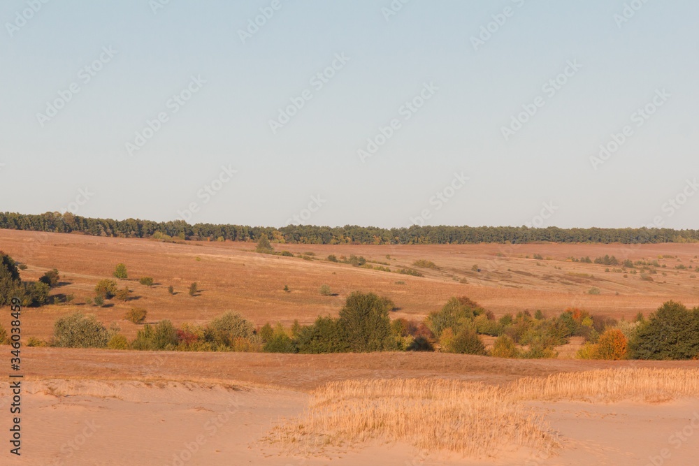 Desert sand landscape, dune nature dry,  tranquil.