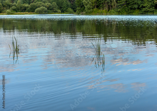 Early morning on the shore of the Drozdy reservoir.