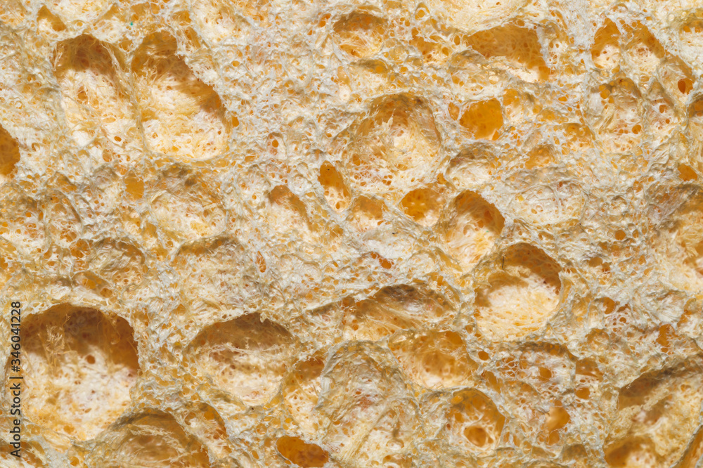 Porous material macro texture. rough surface. abstract background Porous material macro texture. rough surface. abstract background