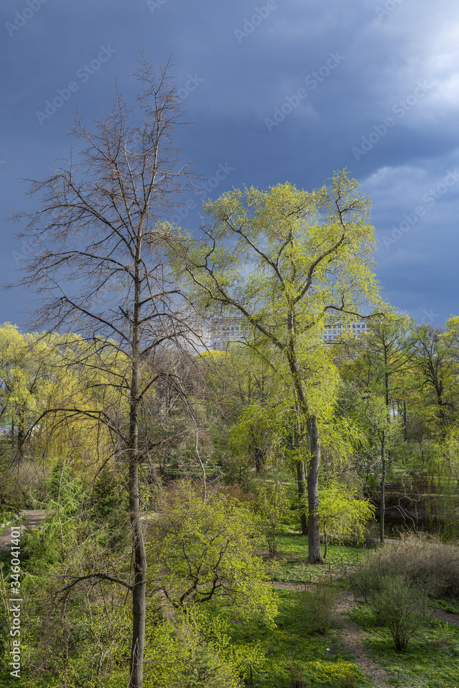 Ominous rainy sky over a green city park before a thunderstorm Ominous rainy sky over a green city park before a thunderstorm