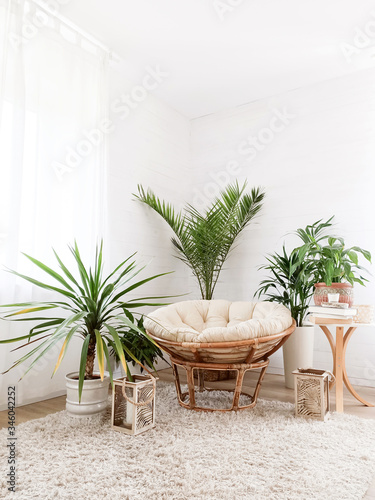 House with cozy boho ethnic interior with plants.