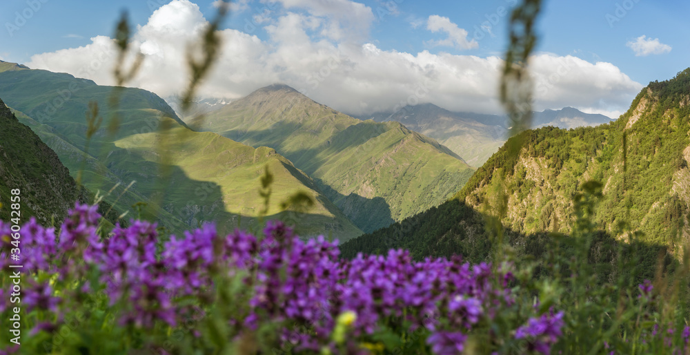The blooming Caucasus meadow in Georgia. Omalo Shatili trek.