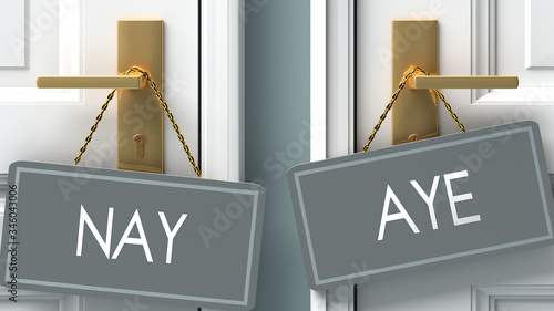 aye or nay as a choice in life - pictured as words nay, aye on doors to show that nay and aye are different options to choose from, 3d illustration