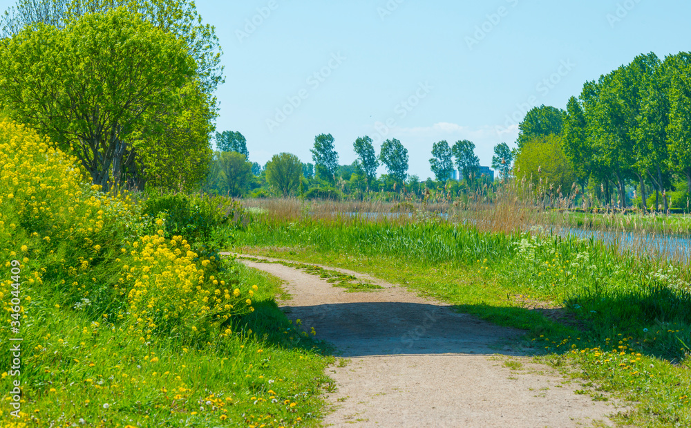 Canal with wild flowers and lush foliage below a blue sky in sunlight in spring