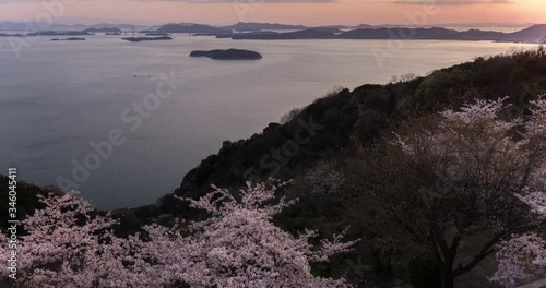瀬戸内のタイムラプス映像、桜と海 / Time Lapse: Sakura and Ocean in Setouchi JPN
