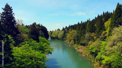 美しい渓流を挟む深緑の木々