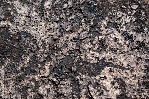 Wall with old tar for backdrop. Dark and light areas of gray. Flaking, cracks, potholes and craters.