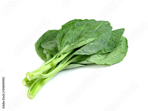 Chinese kale isolated on white background ,Green leaves of collards pattern