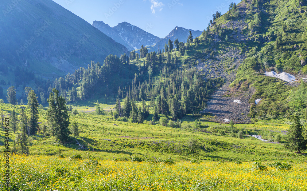 Scenic view, mountain flowering valley, alpine meadows
Scenic view, mountain flowering valley, alpine meadows