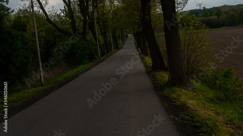  Narrow asphalt road down. among the trees