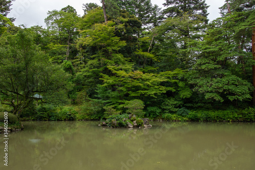 Beautiful Japanese Garden in Kyoto  Japan with River and Lush Forest Tree Background 