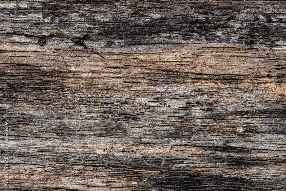Rustic wooden texture, empty Soft wood background Rustic wooden texture, empty Soft wood background