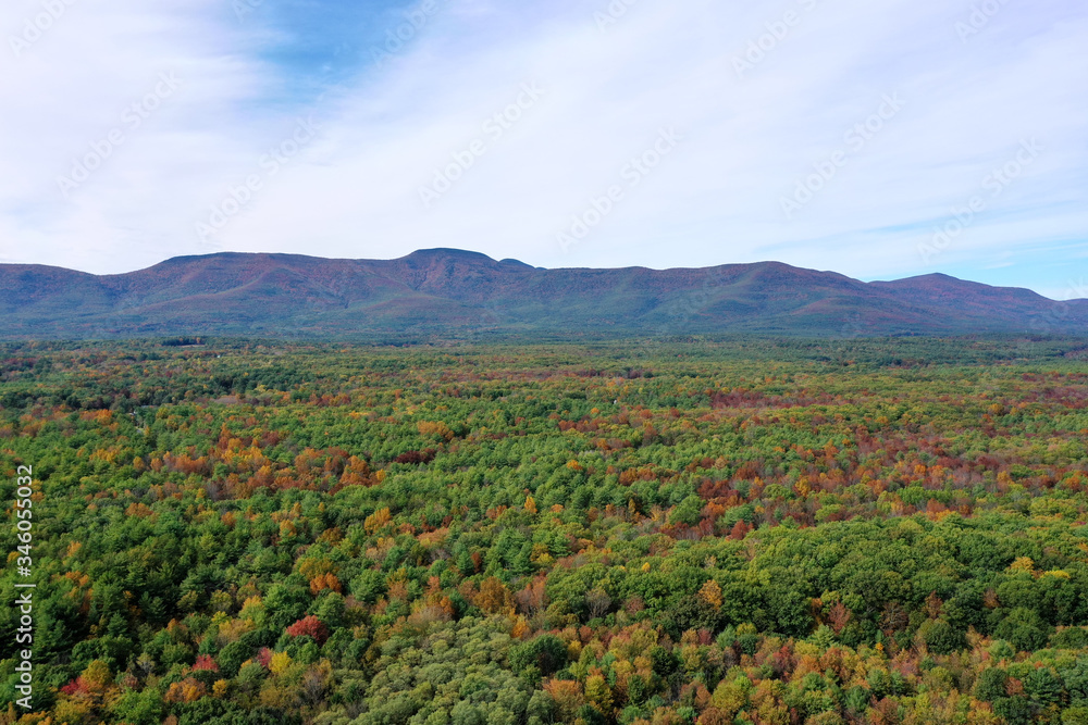 Aerial Trees and mountains in the Taconic mountain range