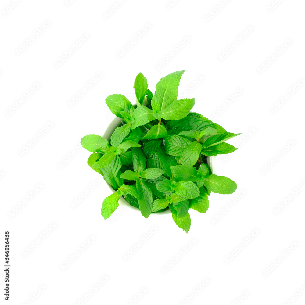 Close up Fresh spearmint leaves isolated on the white background with clipping path, Mint or peppermint herb concept.
Close up Fresh spearmint leaves isolated on the white background with clipping path, Mint or peppermint herb concept.