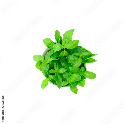 Close up Fresh spearmint leaves isolated on the white background with clipping path  Mint or peppermint herb concept. 