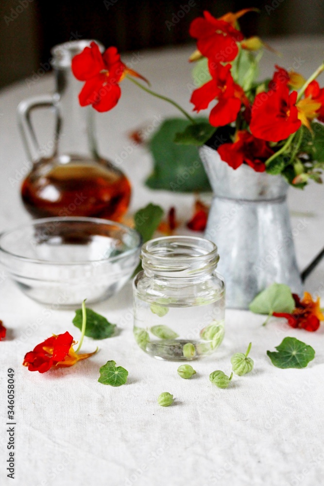 seeds of nasturtium conservation. nasturtium boots like capers. edible flowers and herbs. seeds of nasturtium conservation. nasturtium boots like capers. edible flowers and herbs.