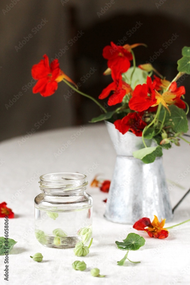 seeds of nasturtium conservation. nasturtium boots like capers. edible flowers and herbs. seeds of nasturtium conservation. nasturtium boots like capers. edible flowers and herbs.