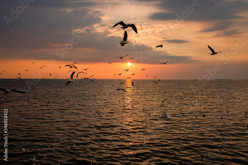 seagulls flying over the sea at sunset. 