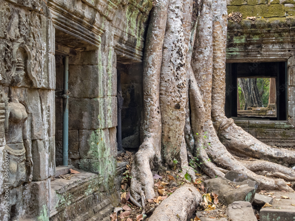 Spong trees invade the ancient walls of Ta Phrom Temple - Siem Reap, Cambodia Spong trees invade the ancient walls of Ta Phrom Temple - Siem Reap, Cambodia