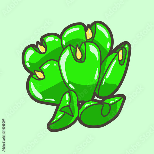 cute green succulent 